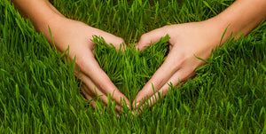 consulto singolo naturopatia